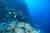 north horn coral sea copyright GUE david rhea