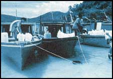 Bomb boats such as these can hold a few tons of blast fish
